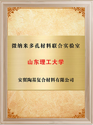 山東理工大學(xué)-微納米多孔材料聯(lián)合實(shí)驗(yàn)室